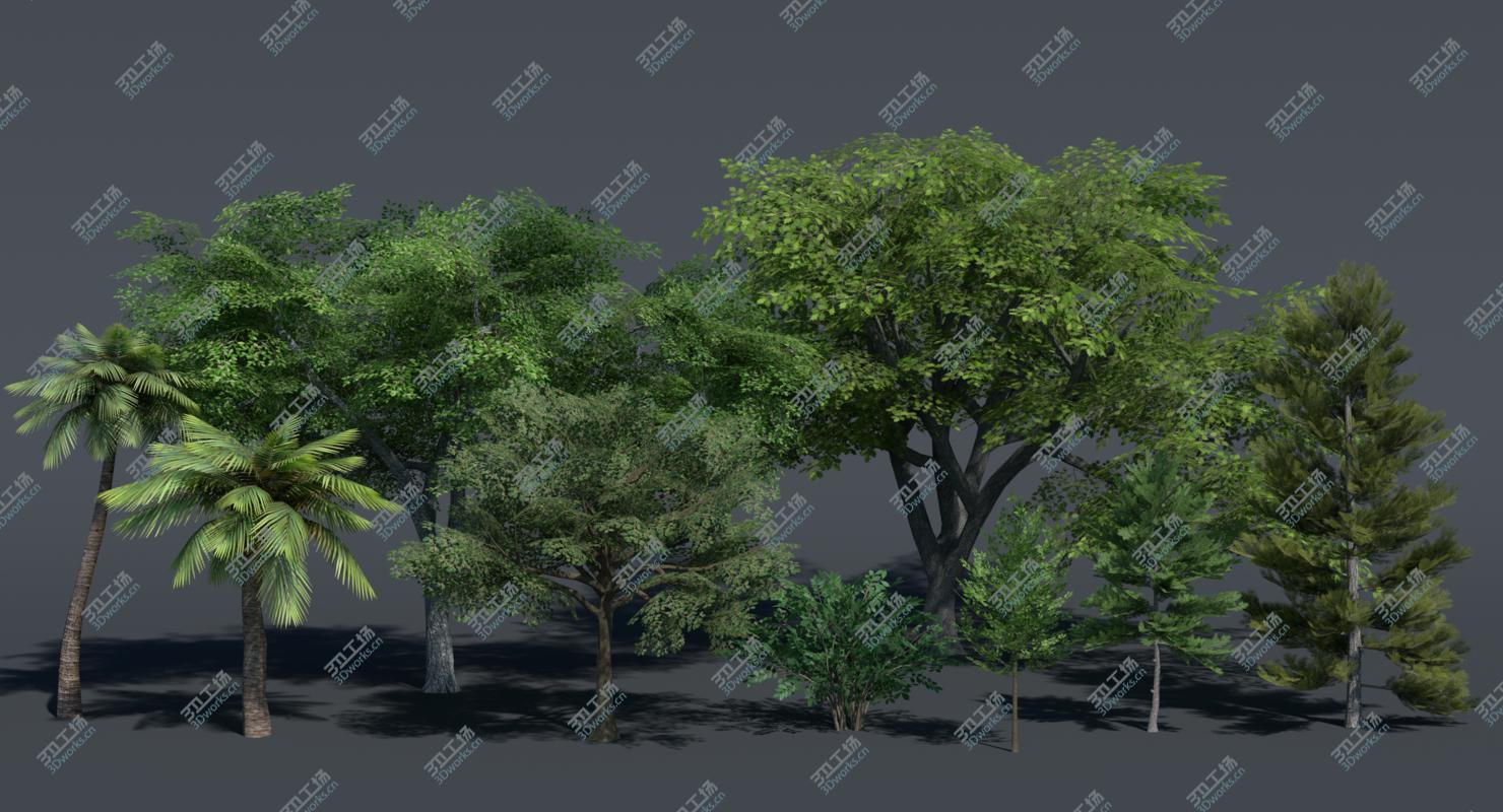 images/goods_img/20210113/Low Poly Tree Set/3.jpg